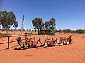 Camel farm in Uluru
