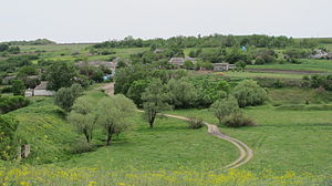 панорама частини села