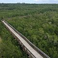 View of the boardwalk from the observation tower