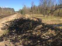 Разобранный боковой путь. Вид в сторону ст. Хийтола.