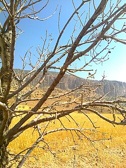 تصویری از دهستان زردلان