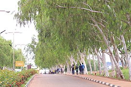 Students on campus grounds