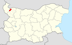 Brusartsi Municipality within Bulgaria and Montana Province.