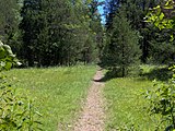 Hidden Springs Trail crossing a cedar glade