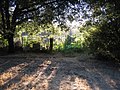 Monta Vista Community Farm at McClellan Ranch