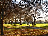 North Hagley Park