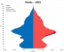 Hindu