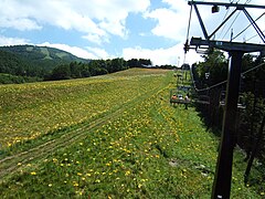 Hunter Mountain Shiobara in Summer.