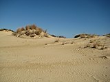 Jockey's Ridge State Park, the eastern trail head.