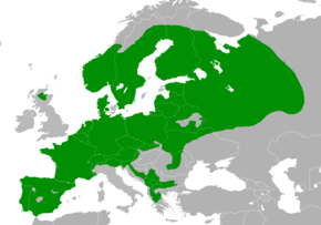 Description de l'image Lophophanes cristatus distribution map.png.