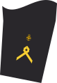 Navy Aviation Service (50th)
