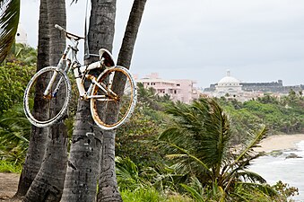 Bike (memorial on tree)
