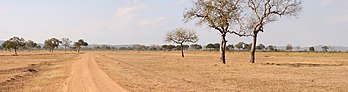 Paysage panoramique de savane dans le Parc national de Mikumi, région de Morogoro en Tanzanie. (définition réelle 4 395 × 1 158)