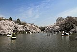 井の頭恩賜公園（東京都武蔵野市）