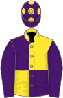 Yellow and purple (quartered), purple sleeves, purple cap, yellow spots