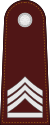 Police sergeant major