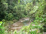 Dantas River, Barbilla National Park.