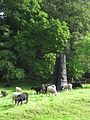 Threshold Column (1998). Skulpturenpark Sculpture at Schoenthal