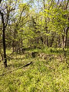 Foundation of a ruined slave cabin, Bolling Island Plantation, Goochland, Virginia