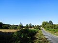 Route de campagne creusoise en été (2016)