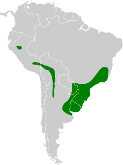 Distribución geográfica del batará pardo (incluyendo el (batará pardo norteño).