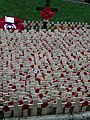 The Field of Remembrance outside Westminster Abbey