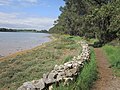 Le sentier littoral de la rive est de la Vasière de Bisconte au sud du pont de Kerrichard à marée haute.