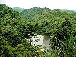 Tall green trees and hills are on both sides of a river in the center.