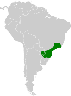 Distribución geográfica del tiluchí estriado oriental.