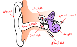 قناة استاكيوس (النفير)