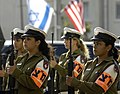 以色列憲兵（英语：Military Police Corps (Israel)）佩戴的臂章，在肩章的位置有扣子加以固定