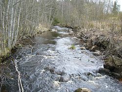 Koskutjokea keväällä Ala-Koskuella.