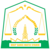 Official seal of East Aceh Regency