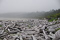 Long Beach (British Columbia)