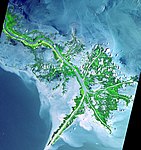 Dettaglio del delta del Mississippi mostrante il ramo attivo, tipico esempio di delta digitato in crescita in ambiente con scarsa energia marina