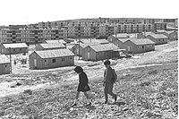 מצפה רמון בשנת 1964