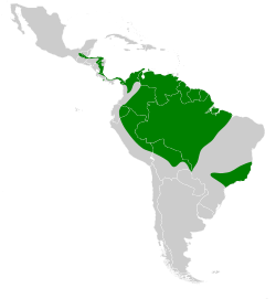 Distribución geográfica del nictibio grande.