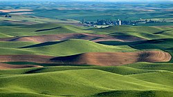 Palouse hills near Steptoe Butte