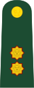 Brigade General