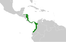 Distribución geográfica del hormiguero ocelado.