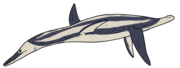 Plesiopleurodon