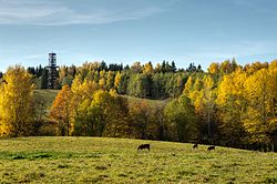 Rebasemõisa observation tower and landscape