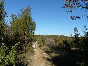 Image illustrative de l’article Causse de Savignac