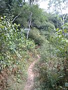 Sentier à Mbamble