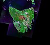 Satelite image of Tasmania