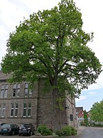 Völkerschlachteiche, am Graftplatz