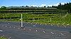 View of the Weyerhaeuser headquarters showing a parking lot in the foreground and the cascadign plants over its facade.