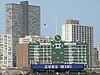 Cubs Win Flag