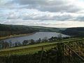 Damflask Reservoir