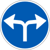 D11.8: Mandatory direction